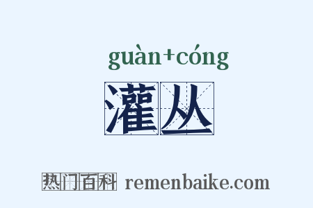 灌丛是什么意思的图片